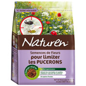 fleurs pour limiter les pucerons du potager